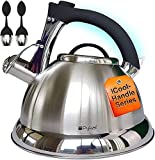 Pykal Tetera Silbante para Cocina - 2,8L - Teteras con Mango de 5 PLY iCool de Acero Inoxidable - Tetera con 2 Infusores También para Placa de Gas o Calentador de Inducción